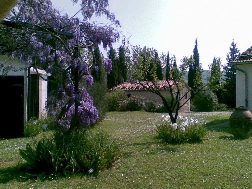 Zahrada ubytování Vignagrande Agriturismo
