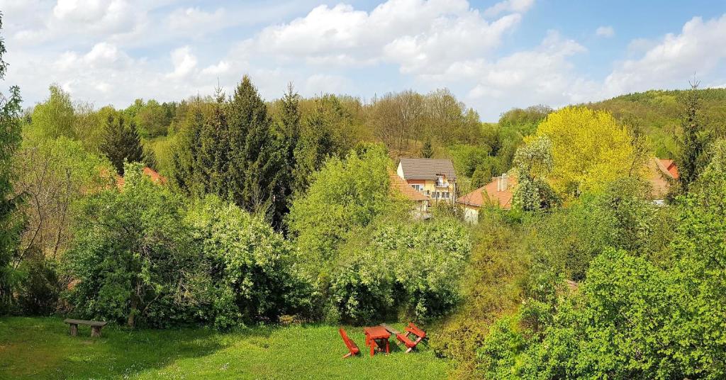 Příroda nedaleko hostelu