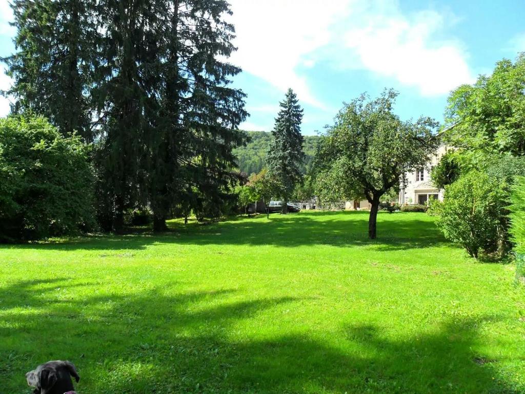 a black dog sitting in a field of green grass at A la Grenouille du Jura in Bellignat