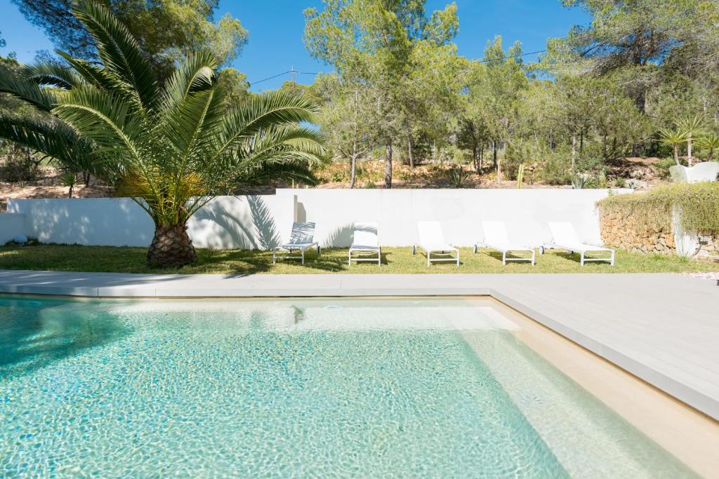 a swimming pool with chairs and a palm tree at Nyumba ya Sun in Cala Tarida