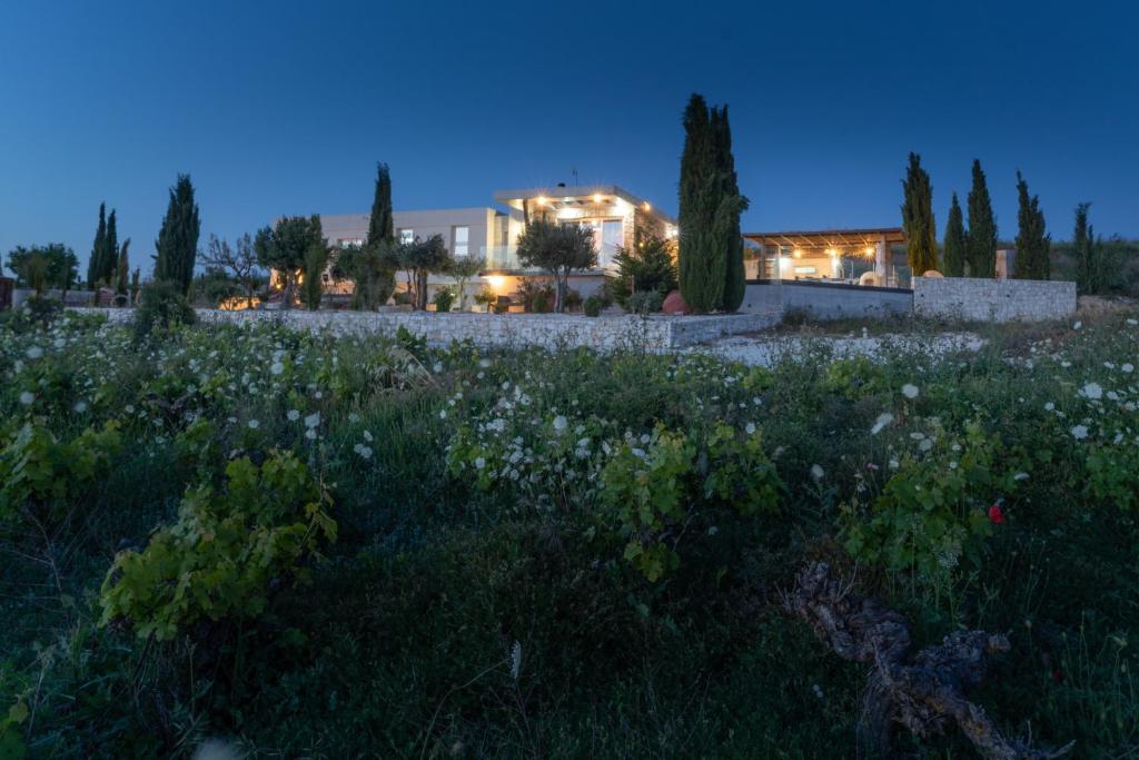 a house in the night with a field of flowers at Ayia Marina in Kathikas