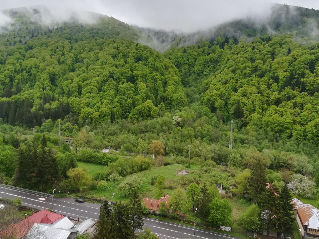 Sinaia Q Marie Apartment - 公寓