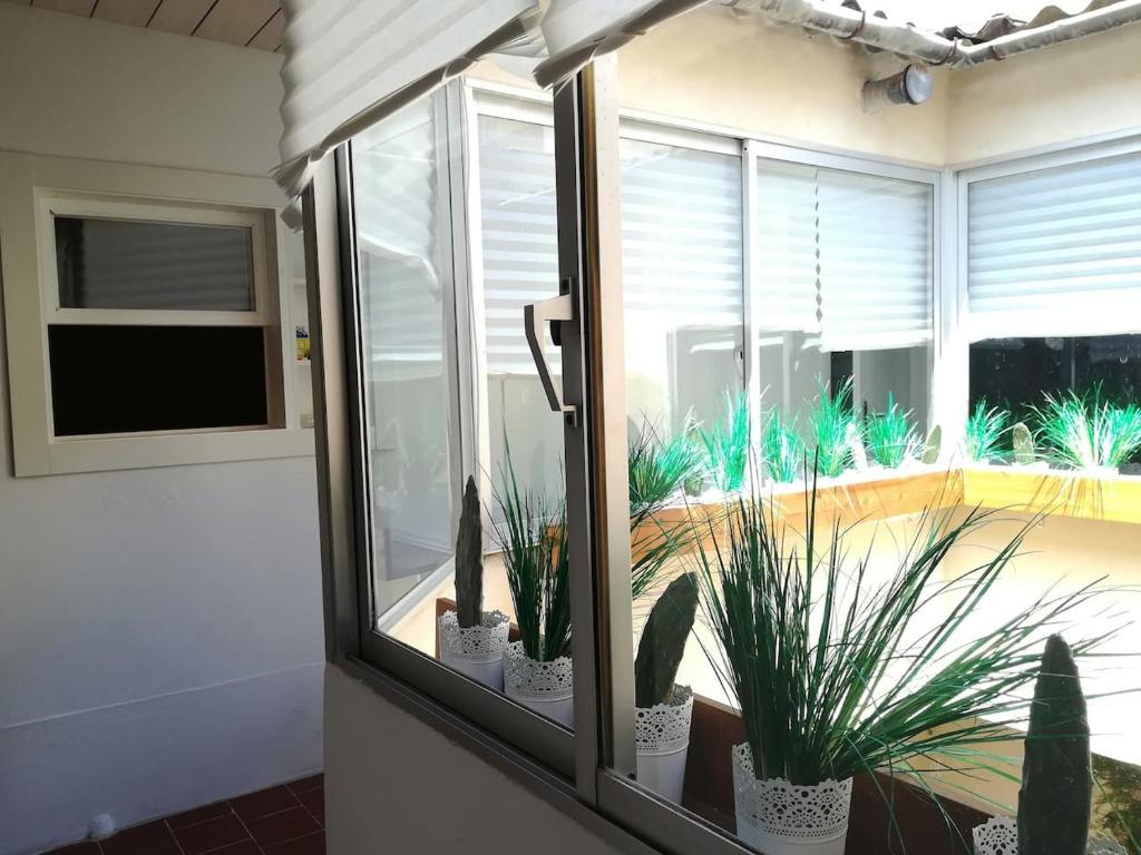 Fotografie z fotogalerie ubytování CASA 2 PINS v destinaci Porto Cristo