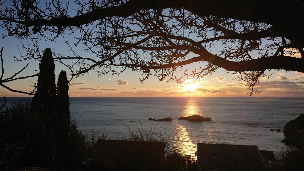 a sunset over the ocean with a tree at Apartments Ulcinj in Ulcinj