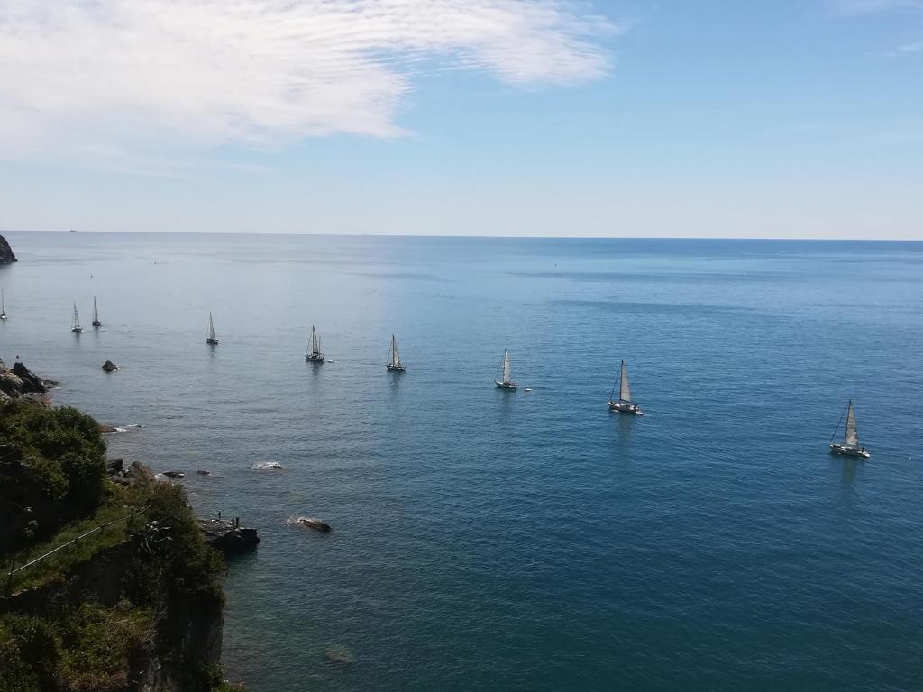 a group of sailboats in a large body of water at Alex Room in Manarola