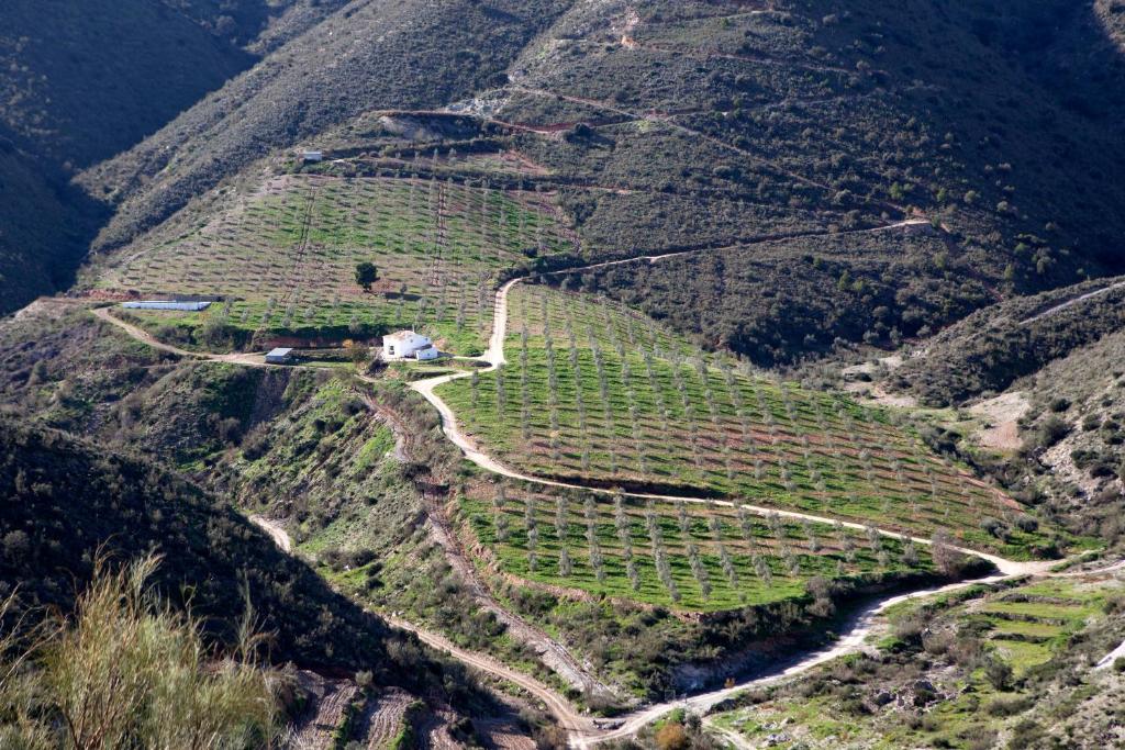 uma vista aérea de uma vinha numa montanha em Cortijo El Rancho em Albánchez