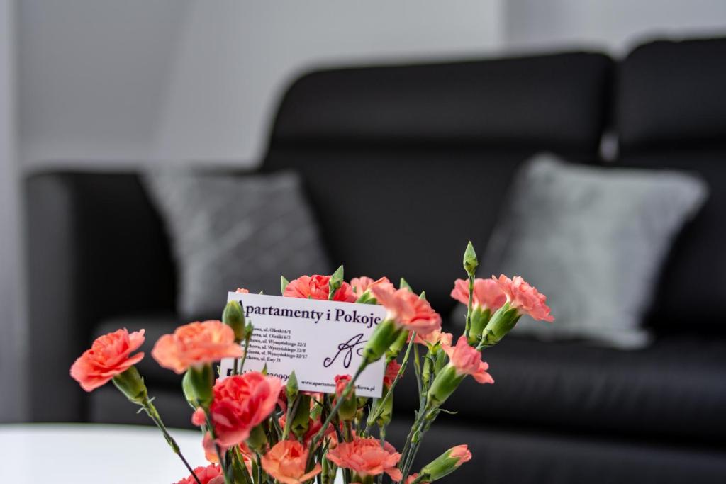 Apartamenty AP 17 - 8