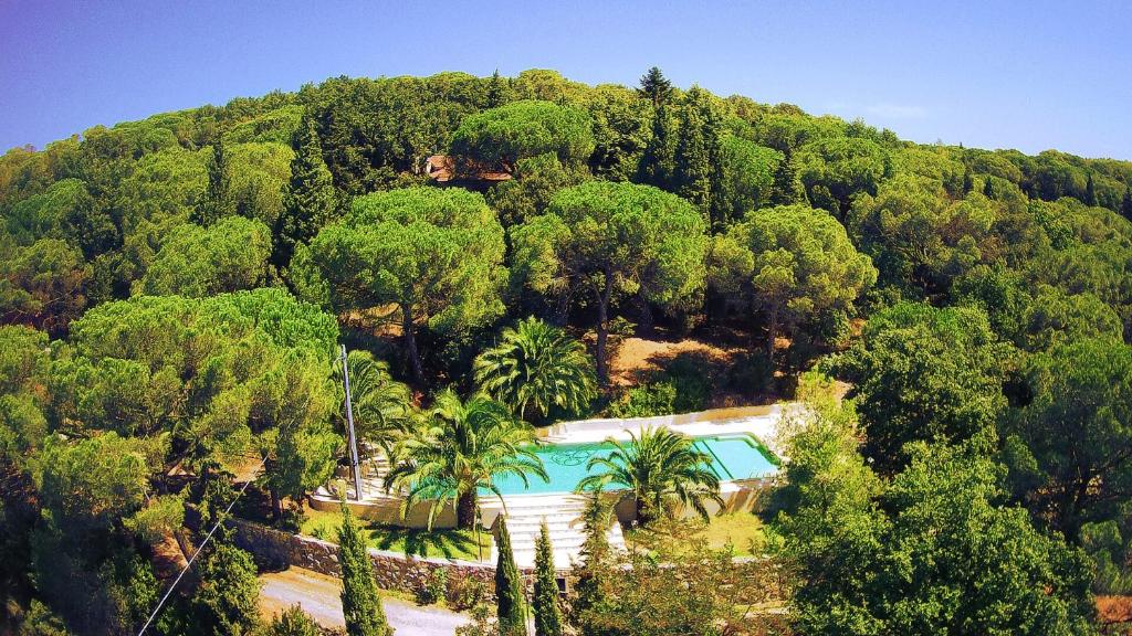 Agriturismo Poggio al Pino - Casa De Un Dormitorio