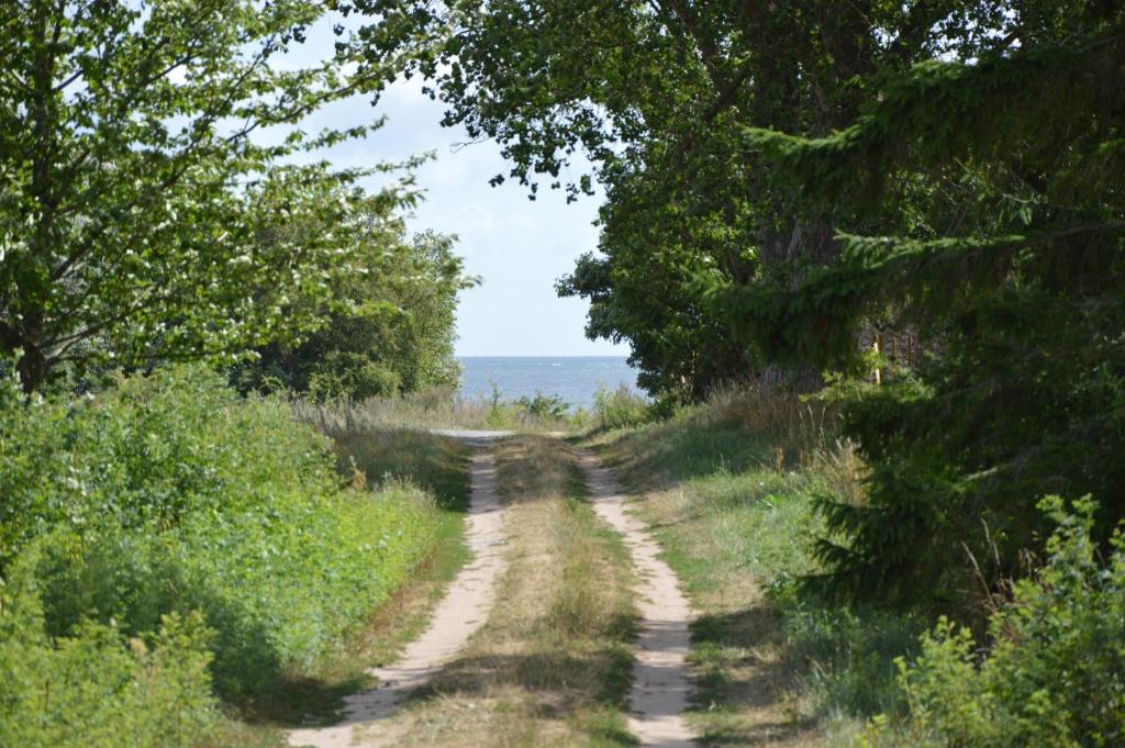 a dirt road with trees and the ocean in the background at FAXESTUGORNA in Abbekås