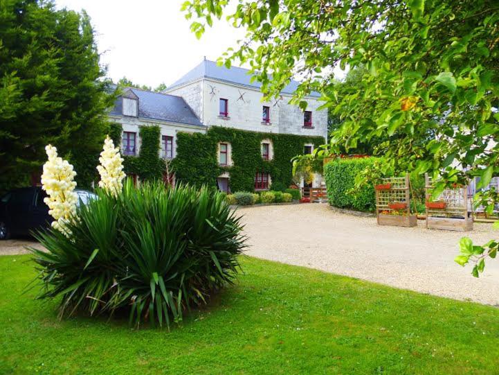 una casa con una planta delante de un patio en Moulin de Gaubourg, en Saint-Mélaine-sur-Aubance
