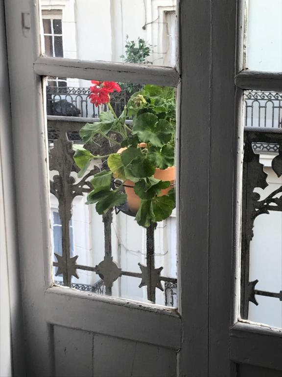 Fotografie z fotogalerie ubytování Appartement Elsa Valencia ve Valencii