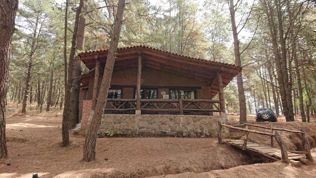 una cabaña de madera en medio de un bosque en Cabañas Tapalpa Sierra del Tecuan, Cabaña Venado en Tapalpa