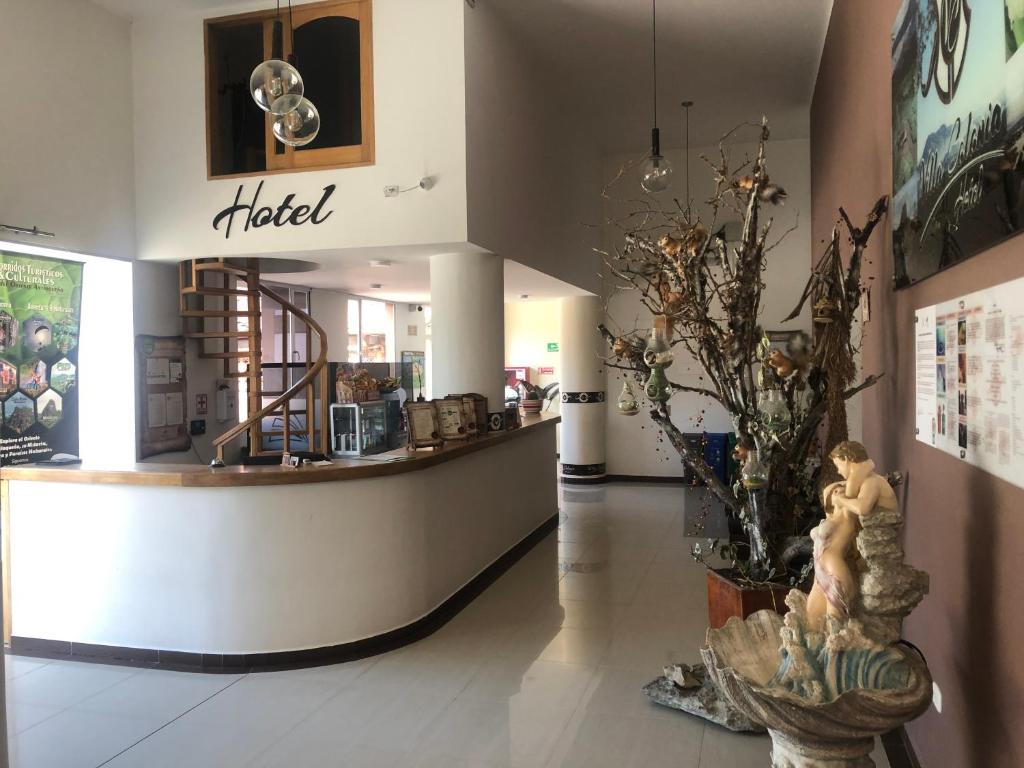 Vstupní hala nebo recepce v ubytování Hotel Villa Colonia