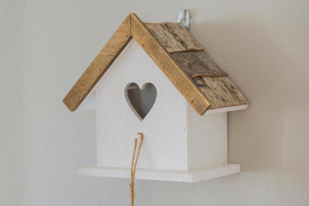 Monte Do Zambujeiro - 7