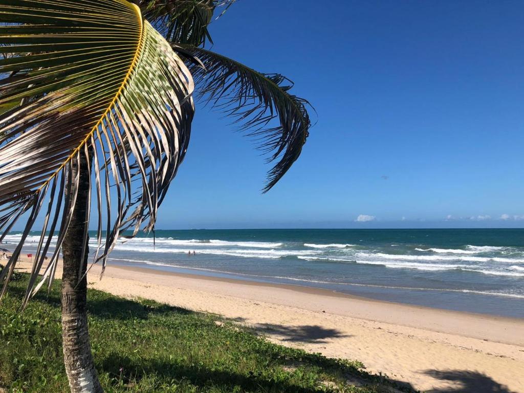  Ancorar Flat Porto de Galinhas- Flat 3311