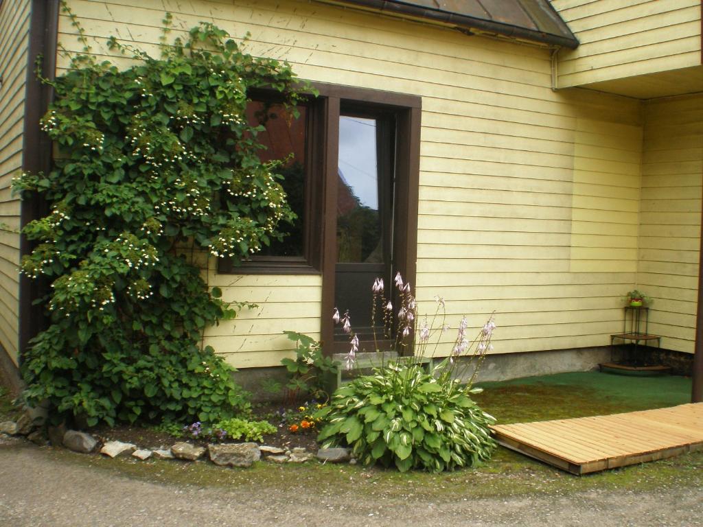un porche de una casa con una puerta y un arbusto en Jannseni Accommodation, en Pärnu