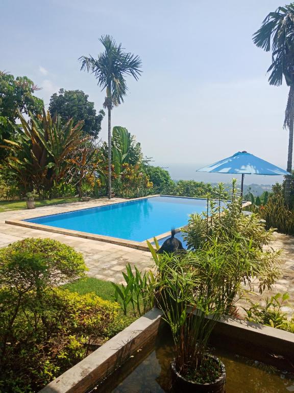 a swimming pool in a garden with palm trees at Villa Elina in Lovina