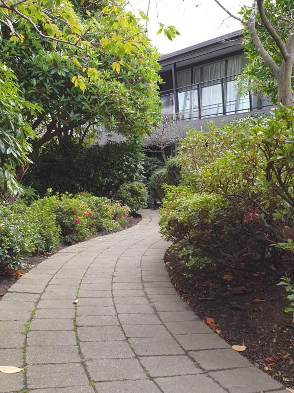 Aurora on George - Resim 19