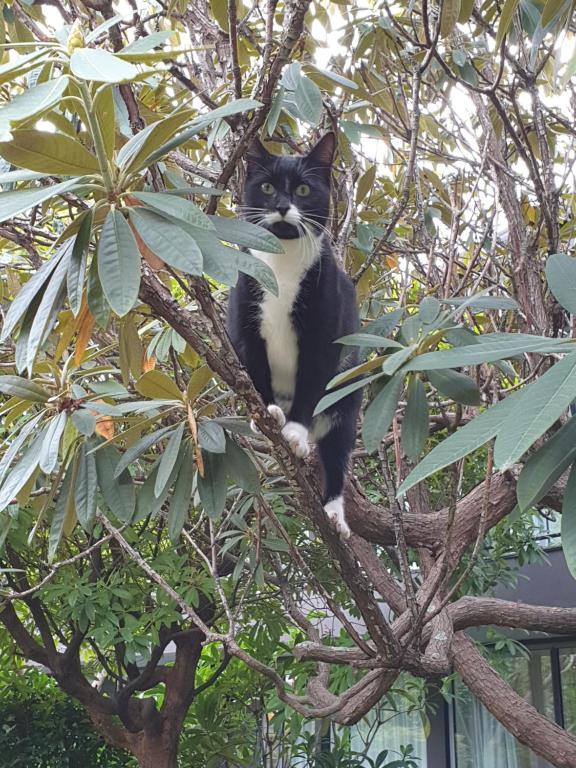 Aurora on George - Resim 21