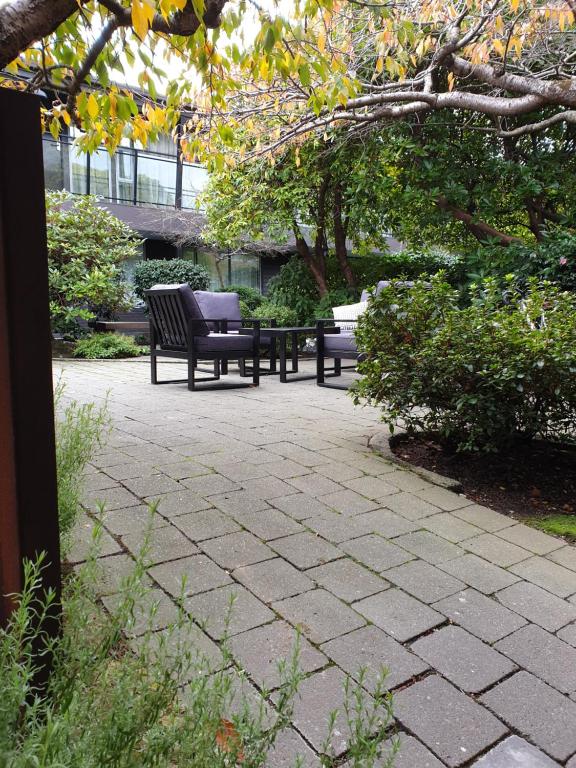 Aurora on George - Resim 18