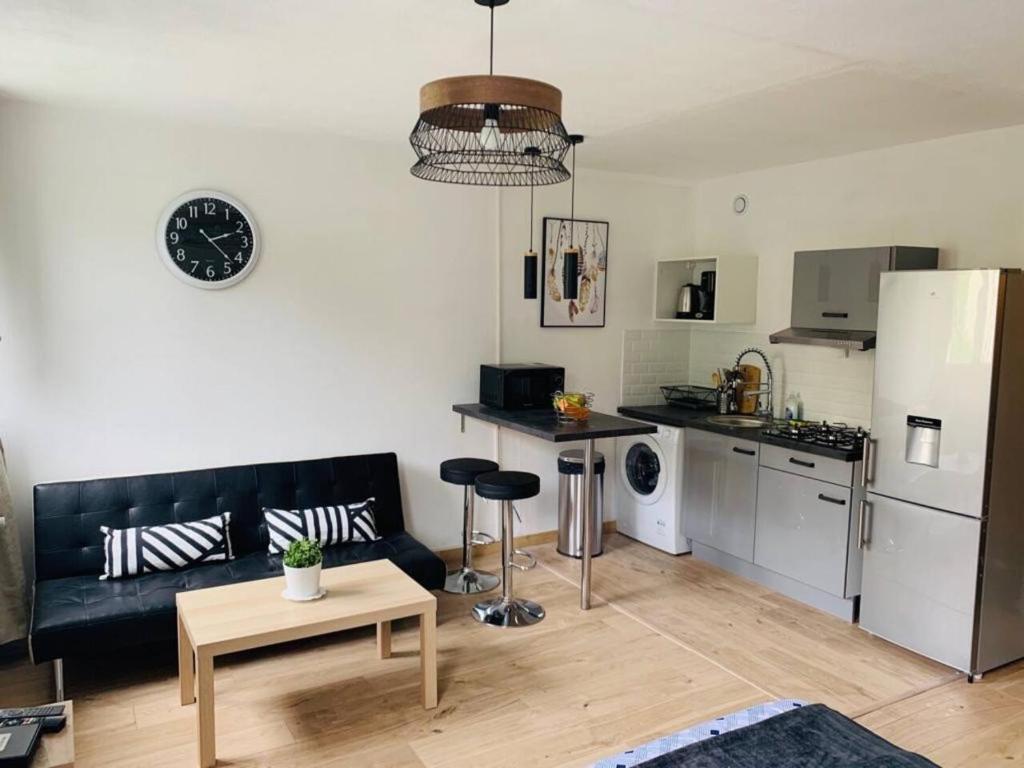 un salon avec un canapé noir et une cuisine dans l'établissement Studio cosy centre ville équipé, calme, à Saint-Étienne