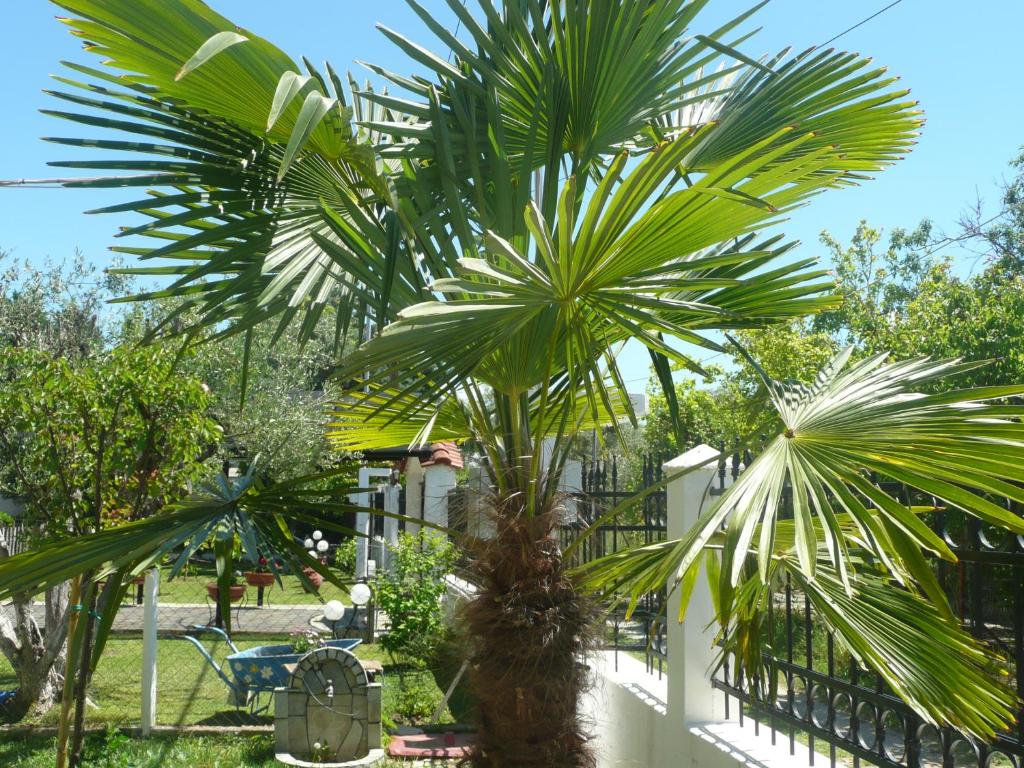 Zahrada ubytování Kallikratia Holiday Flat 1