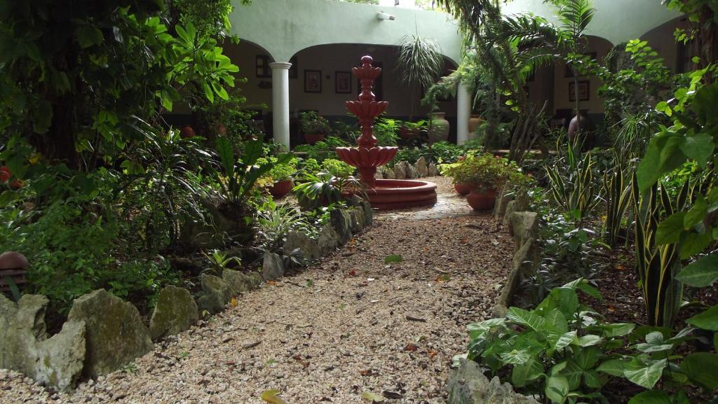 Zahrada ubytování Casa Quetzal Hotel