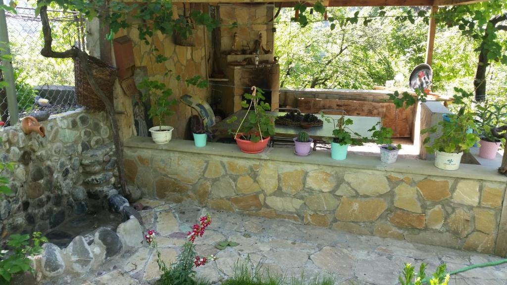 Zahrada ubytování Guest House Ucha