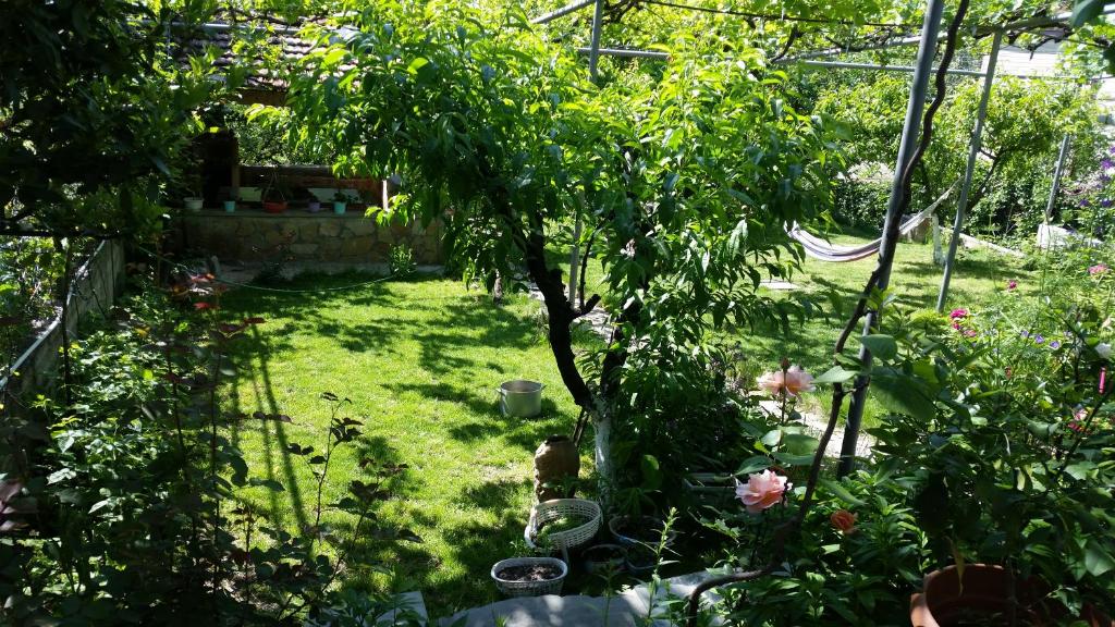 Zahrada ubytování Guest House Ucha