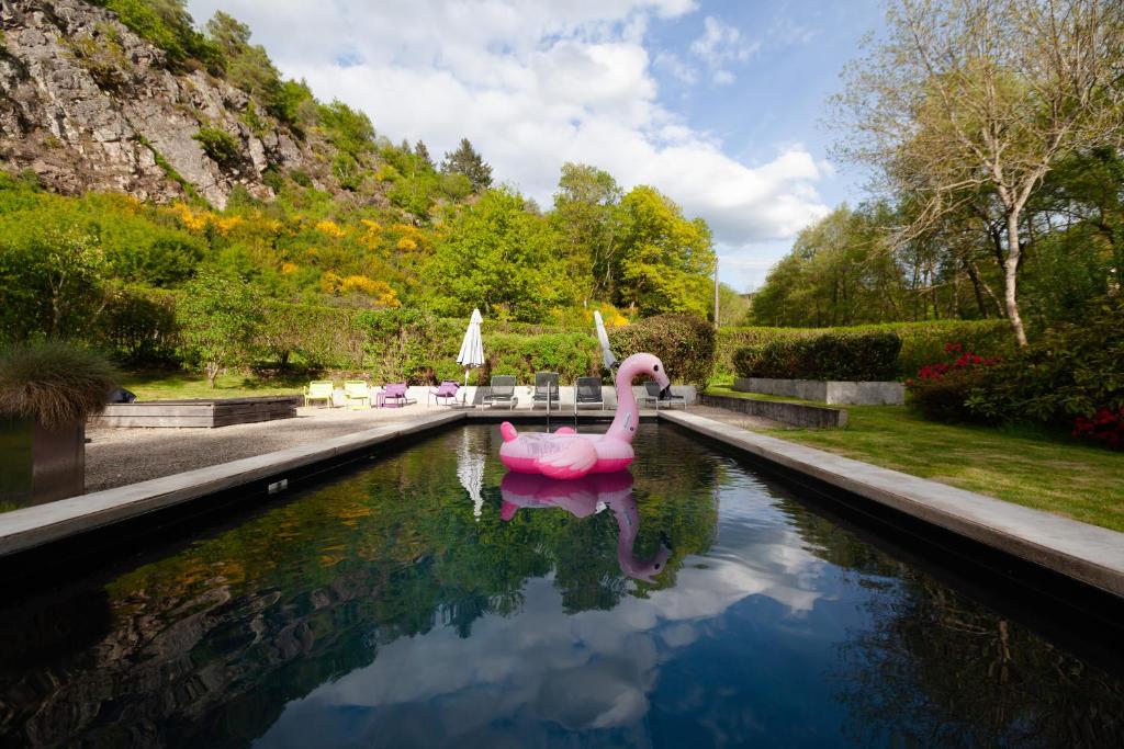 un cygne rose dans un étang dans un jardin dans l'établissement Moulin Renaudiots - Maison d'hôtes, à Autun