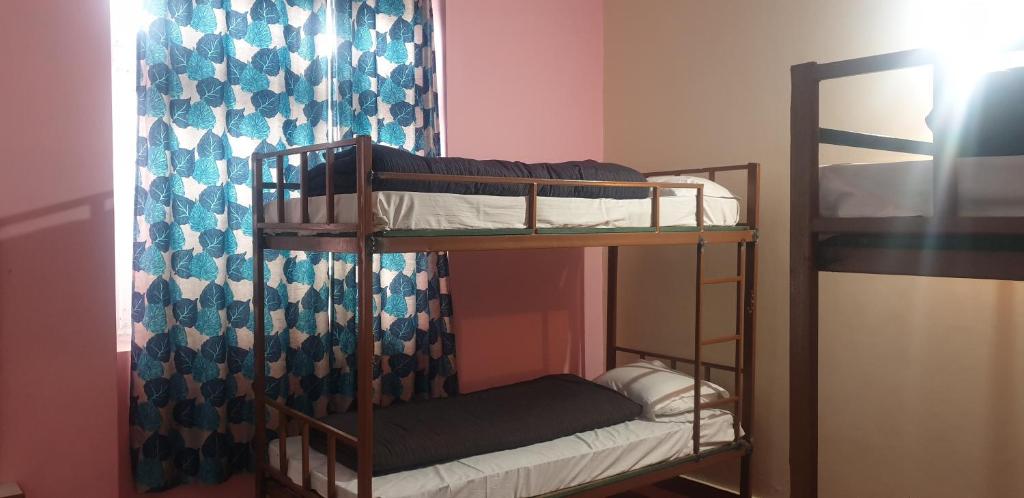 Palanda nebo palandy na pokoji v ubytování YMCA Tourist Hostel Shimla