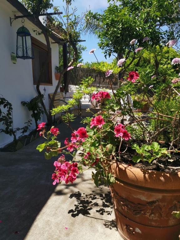 Zahrada ubytování Aquilone Residence