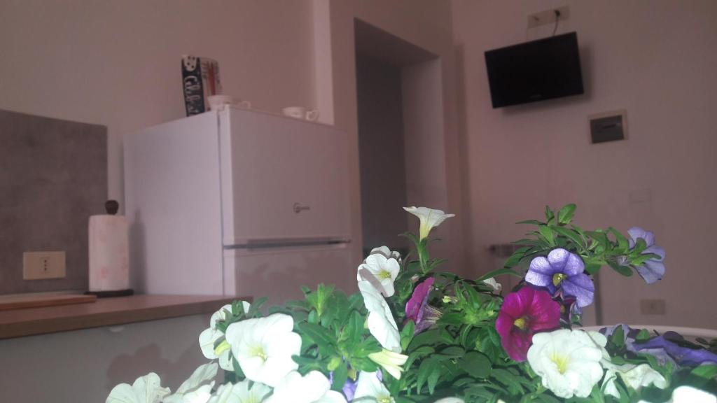 una cucina con frigorifero bianco e alcuni fiori di Grifo Apartment a Grosseto