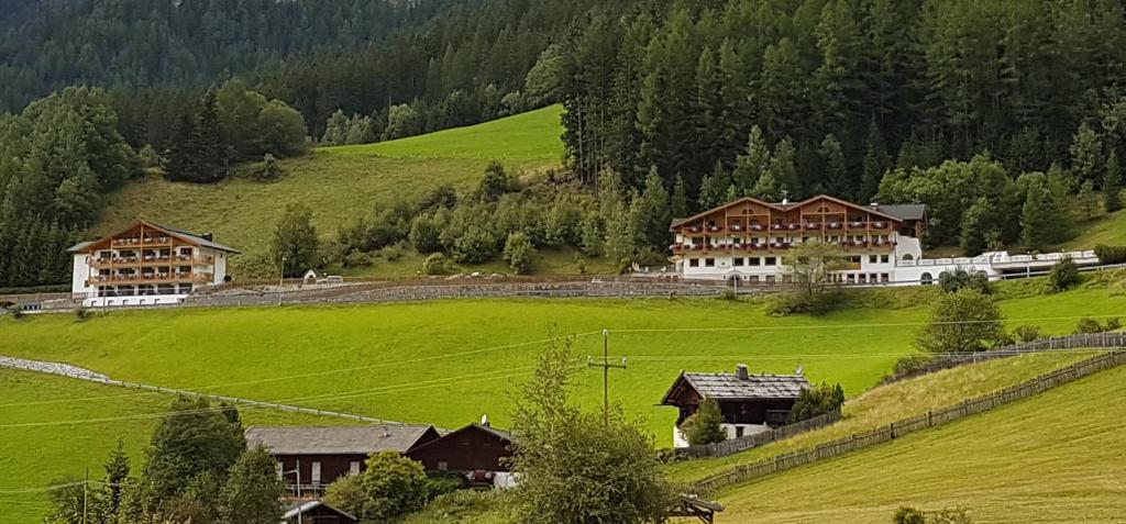 Příroda nedaleko hotelu