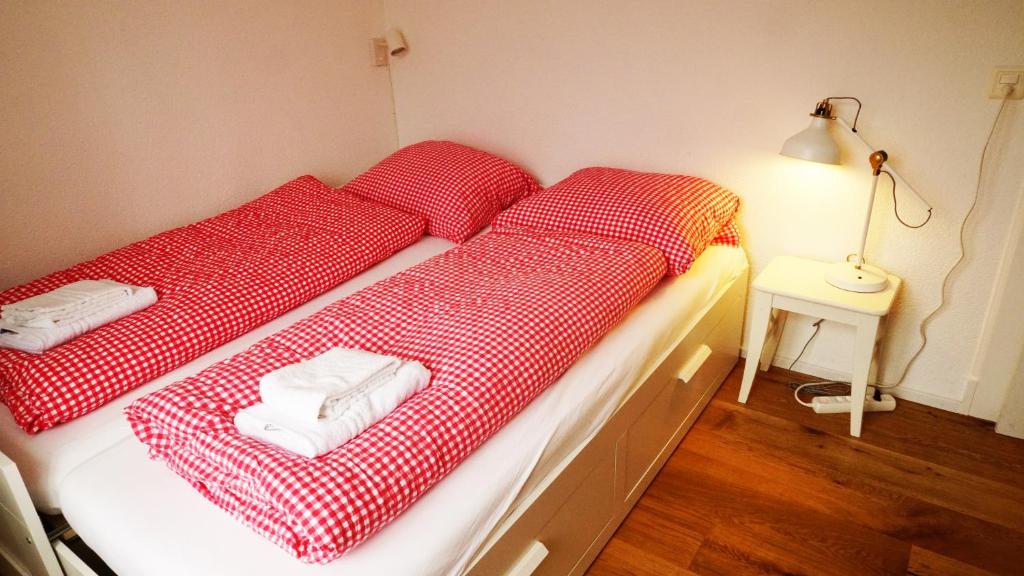 Adventure Guesthouse Interlaken - Resim 39