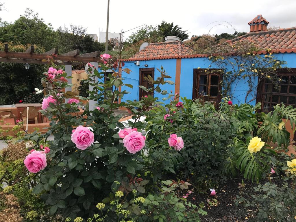 una casa azul con rosas rosas en un jardín en Casa Asuncion en Breña Alta