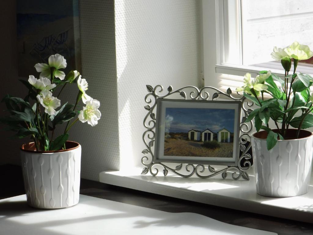 Fotografie z fotogalerie ubytování Ahoi v destinaci Greetsiel