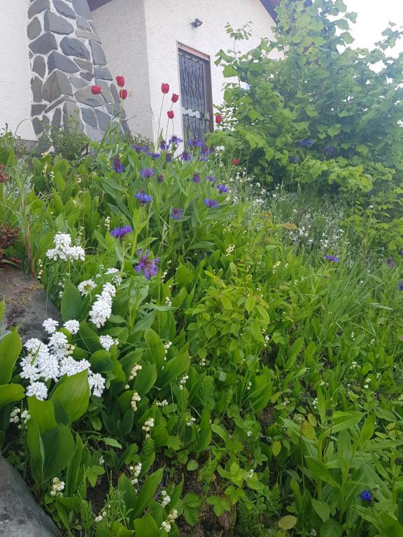 Zahrada ubytování Ferienwohnung Berges