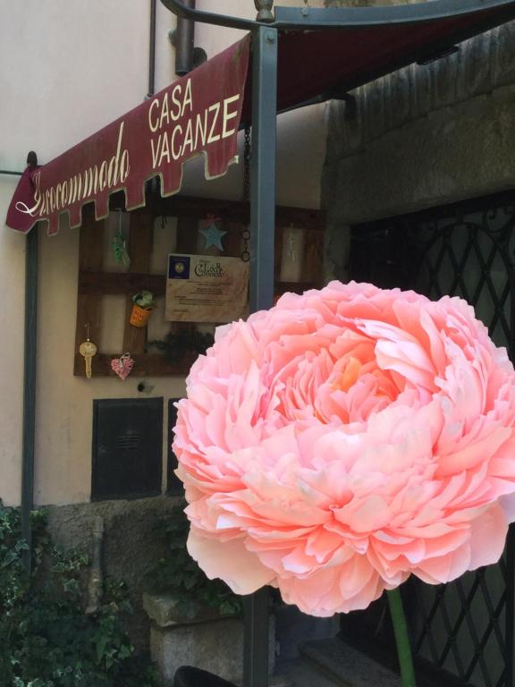 Zdjęcie z galerii obiektu L'Antico Loco Commodo w mieście Viterbo