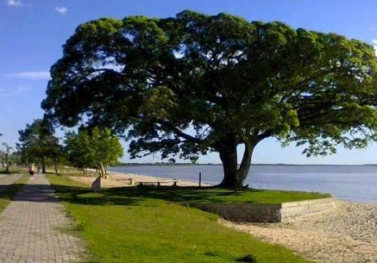  Bela e Aconchegante Residência