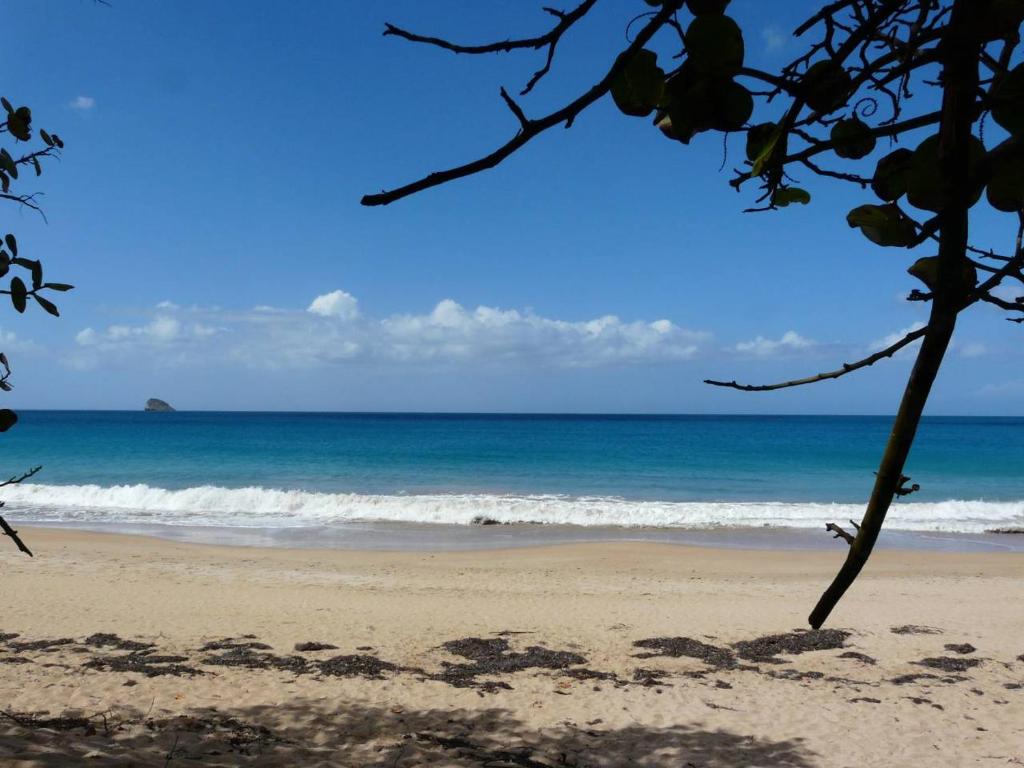 a view of the ocean from the beach at VILLA ALIZÉE Logement 3 in Sainte-Rose