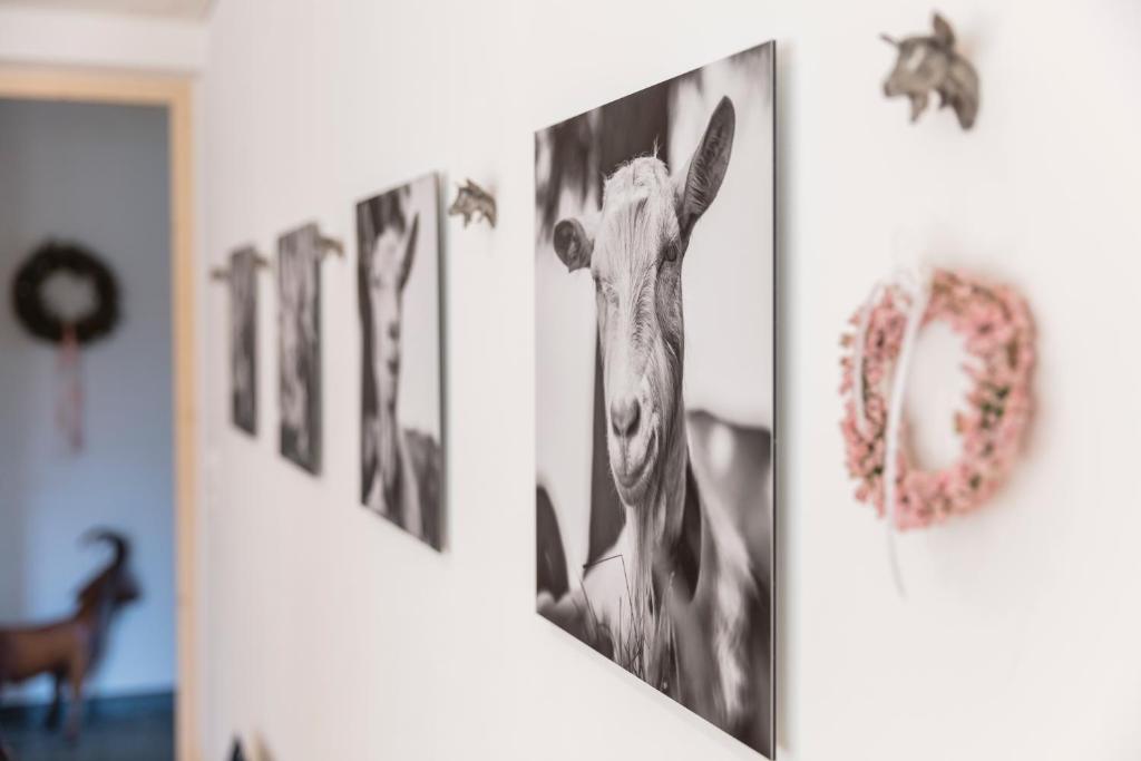 Fotografie z fotogalerie ubytování Neuhof Gäste-& Schokohaus v destinaci Appenzell