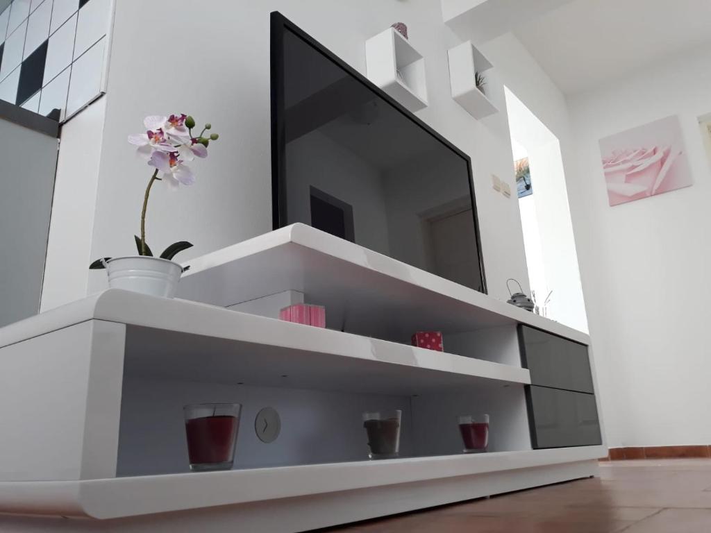 TV a/nebo společenská místnost v ubytování Apartman Kristian Zagreb Airport