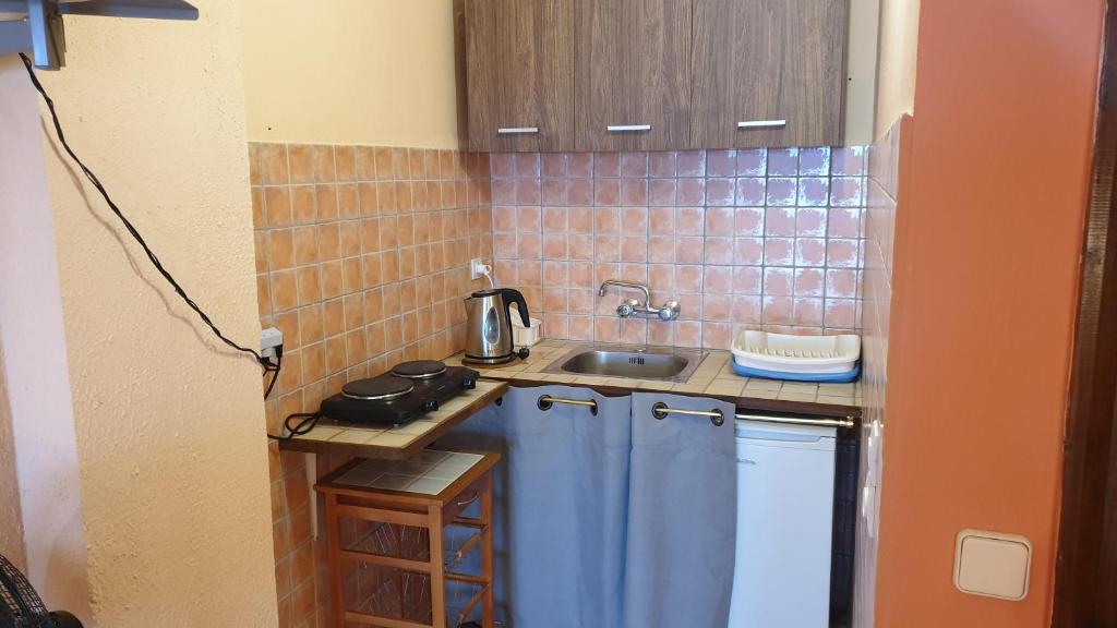 Kuchyň nebo kuchyňský kout v ubytování Atisis Apartments