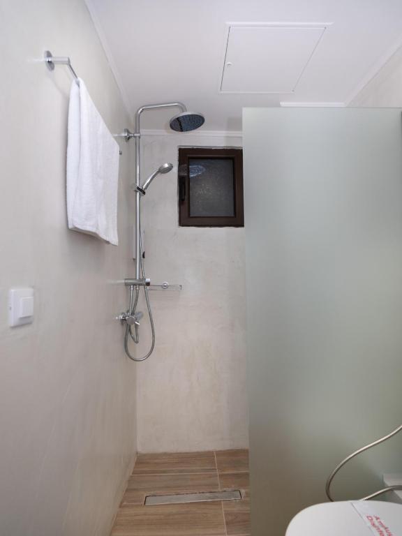 a bathroom with a shower with a toilet and a sink at Eva Mare Hotel & Suites - Adults only in Agia Pelagia
