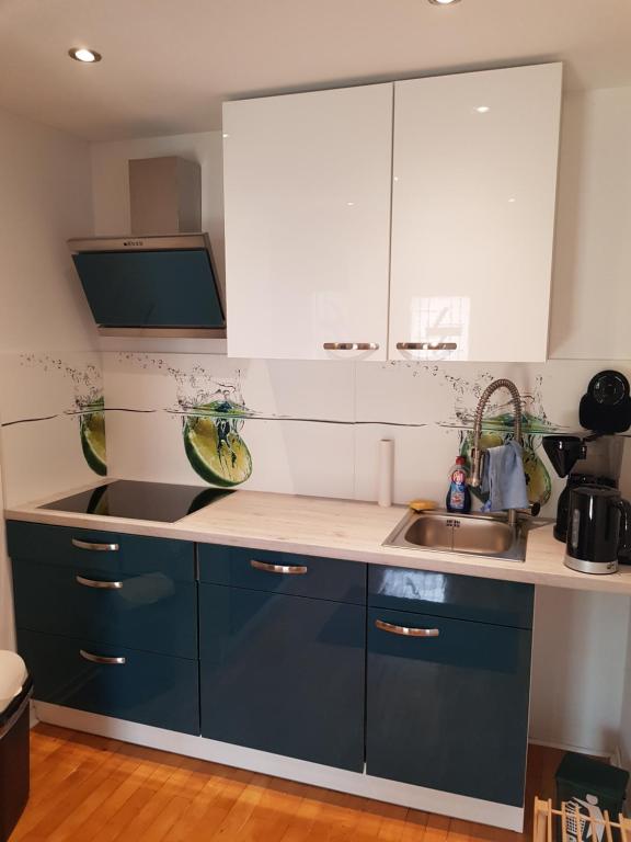 Kuchyň nebo kuchyňský kout v ubytování Ferienwohnung Berges