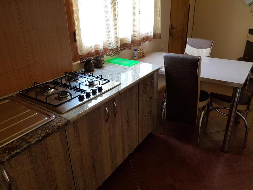 Kuchyň nebo kuchyňský kout v ubytování Tamari Guest House