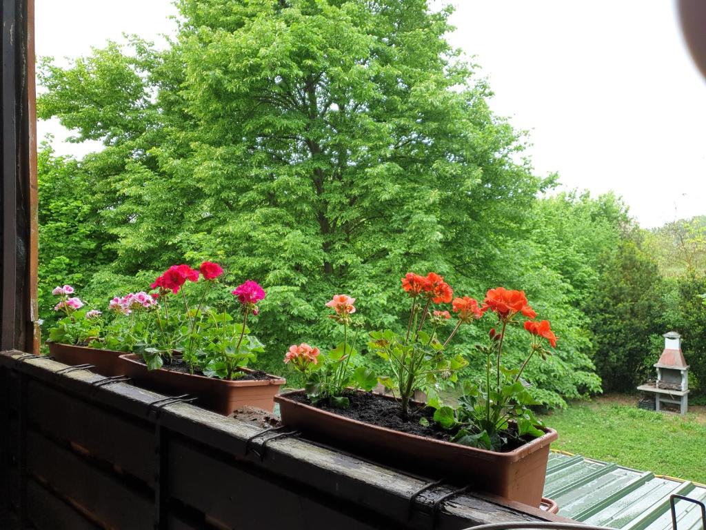Zahrada ubytování Rába Part Apartman