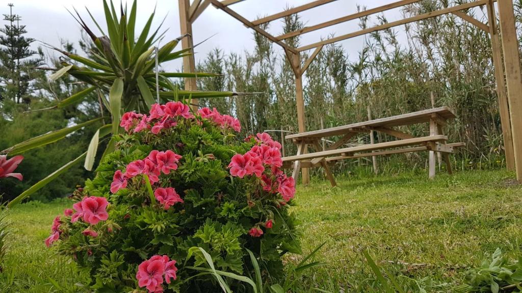 a garden with pink flowers and a wooden bench at Our relaxing holiday home in Mosteiros
