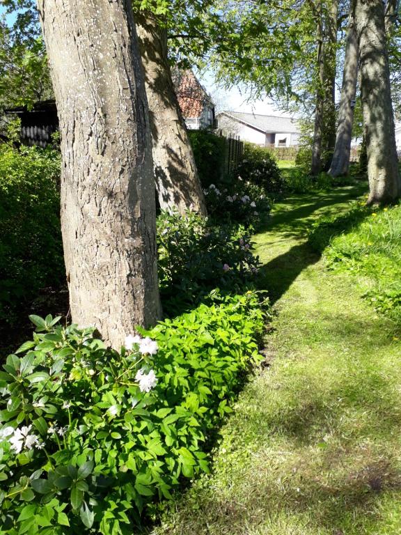 Zahrada ubytování Baekgaarden B&B